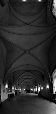 Inside the beast_5929952003_l.jpg